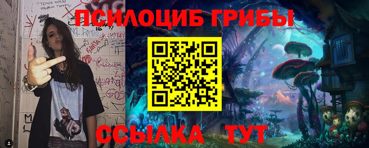 Чебоксары  Галлюциногенные грибы ЛСД  Псилоцибиновые грибы Magic Shrooms  Вход с VPN 